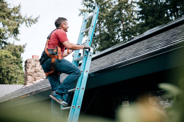 Best Roof Insulation Installation  in Montz, LA